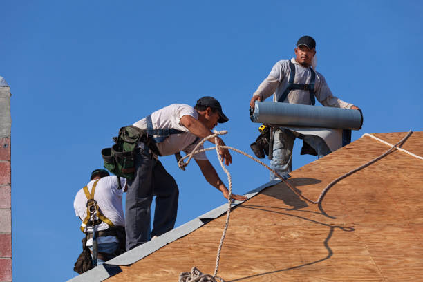 Best Metal Roofing Contractor  in Bloomington, IL